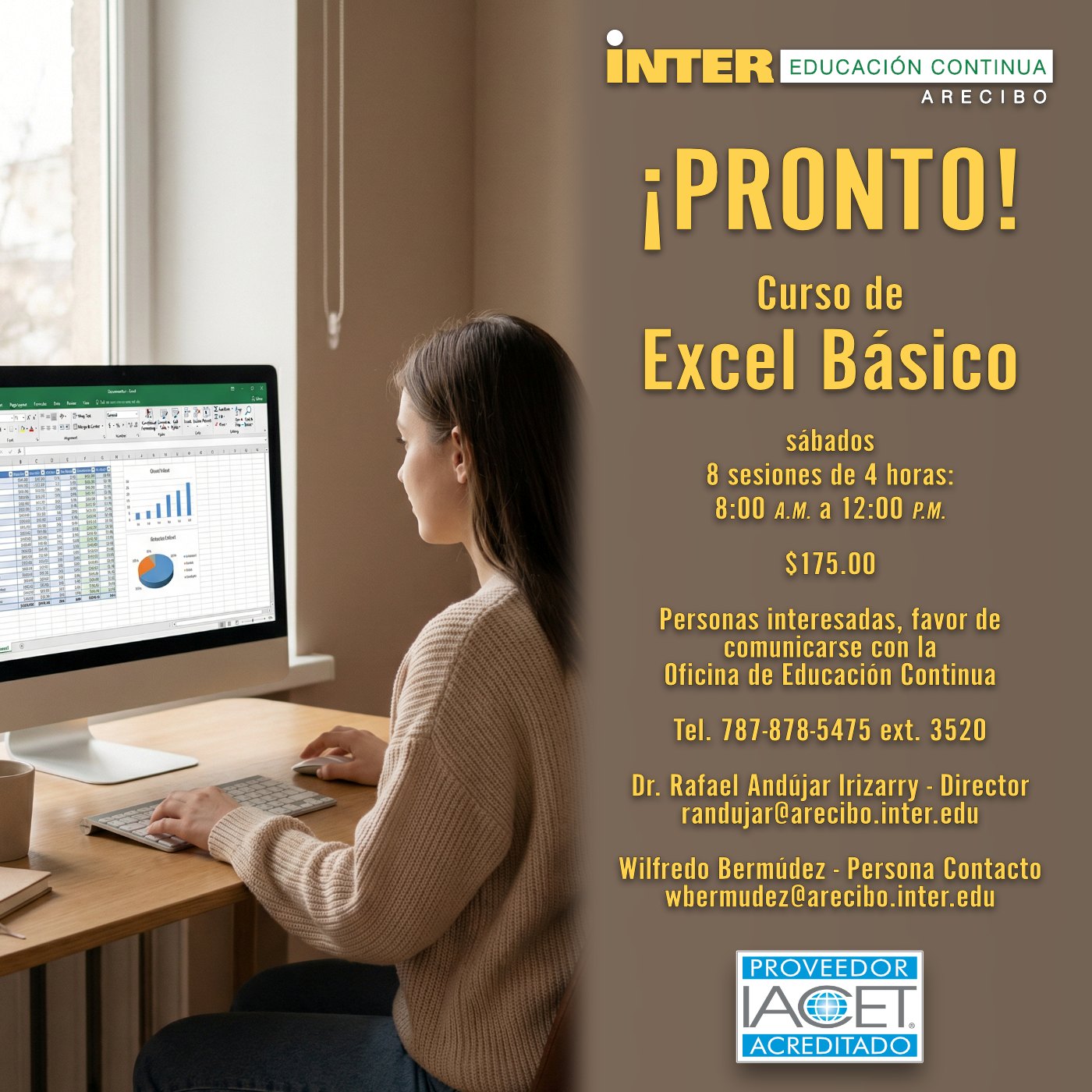 Curso básico de Excel