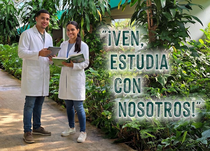 Solicita-más-información