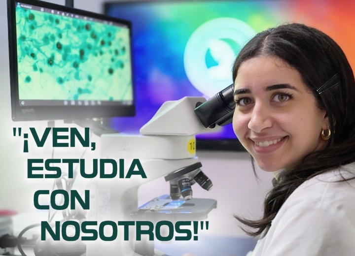 Solicita-más-información